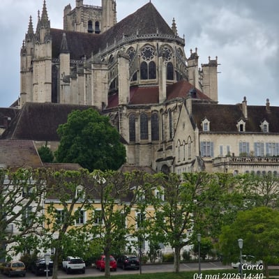 Découverte de l'Auxerrois
