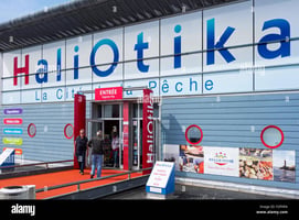 Haliotika